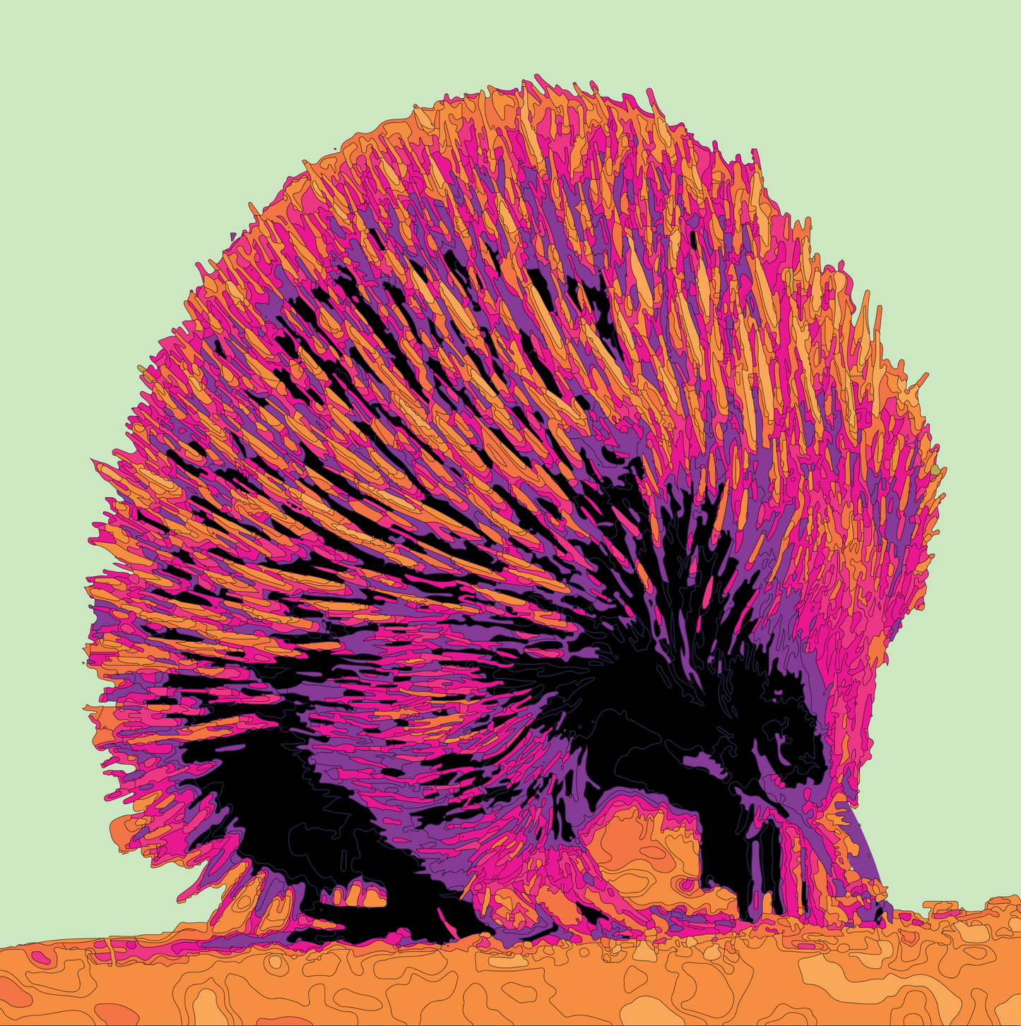 CANVAS PRINT: ECHIDNA POP