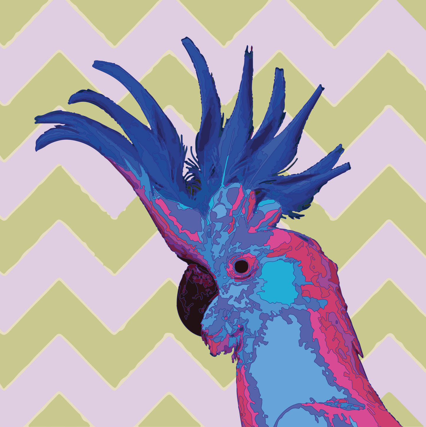 CANVAS PRINT: COCKY BLUE