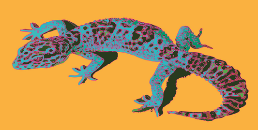 CANVAS PRINT: GECKO POP